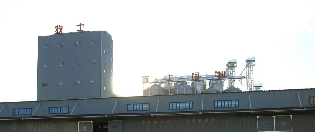 20240104093509164276_11.jpg 4.jpg