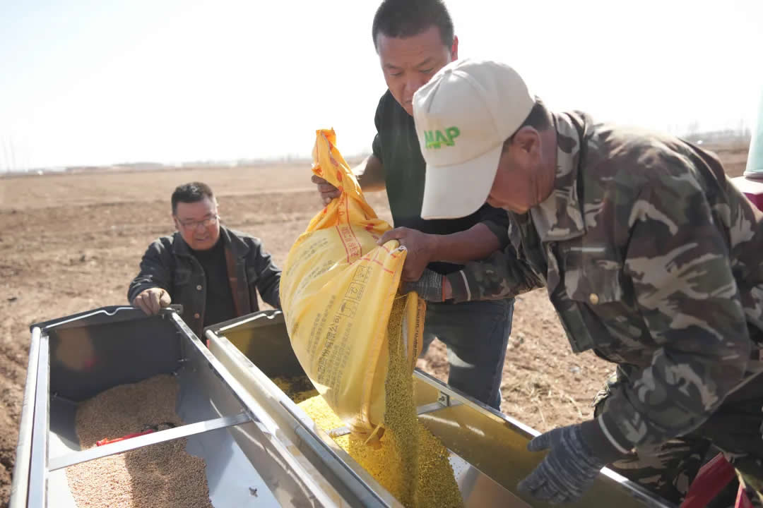 20250317084508137367_11.jpg 3.jpg