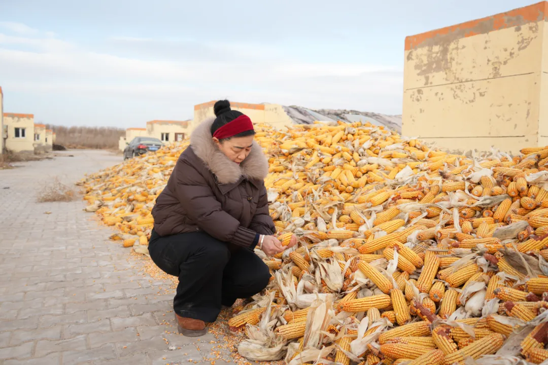 20260127115211107672_11.jpg 1 (1).jpg